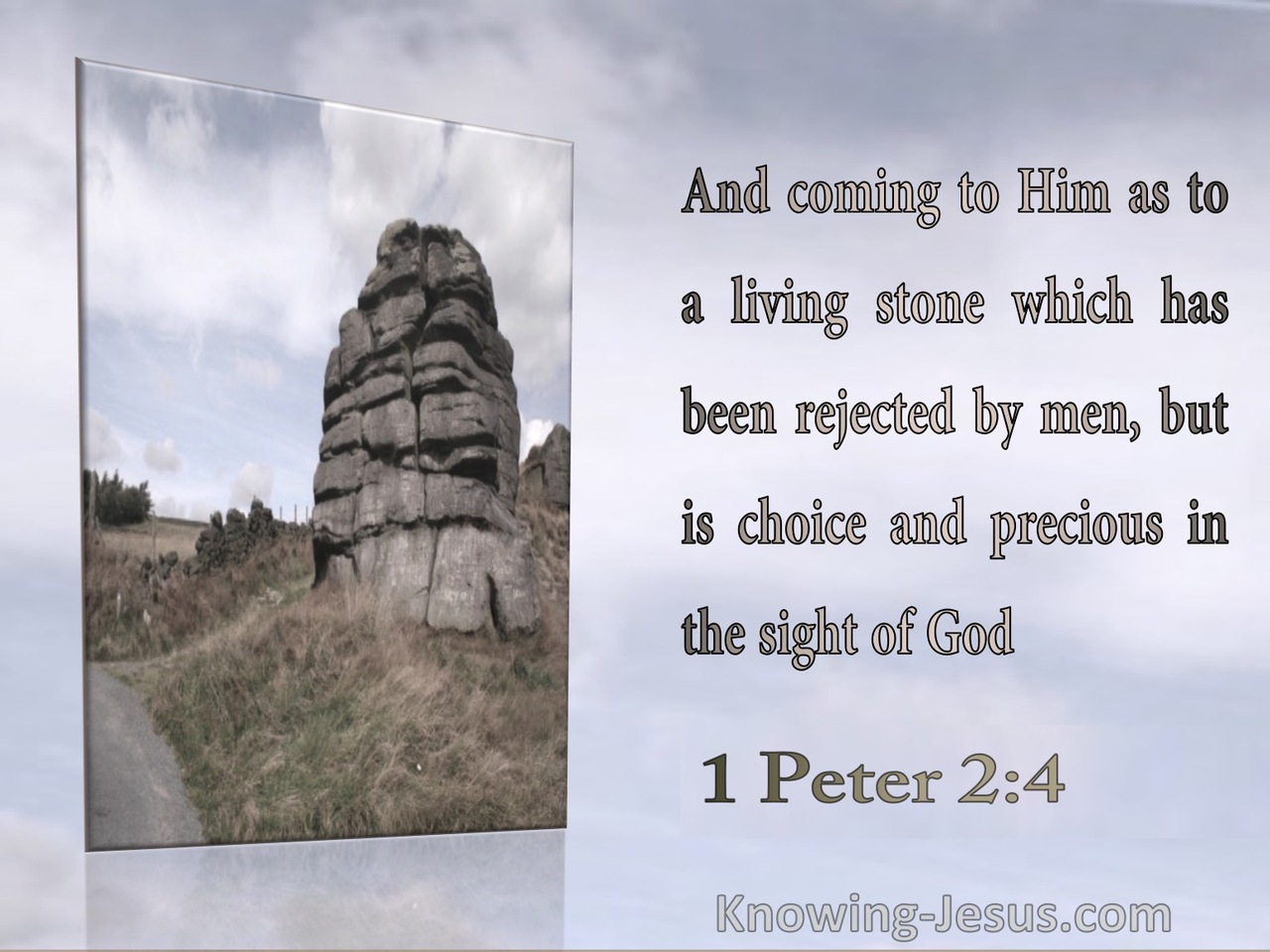 1 Peter 2:4 A Living Stone : Rejected By Men Precious To God (beige)
